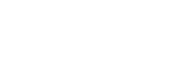 Digital Solution Group Logo