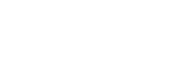 Volkswagen Group IT Solutions Logo